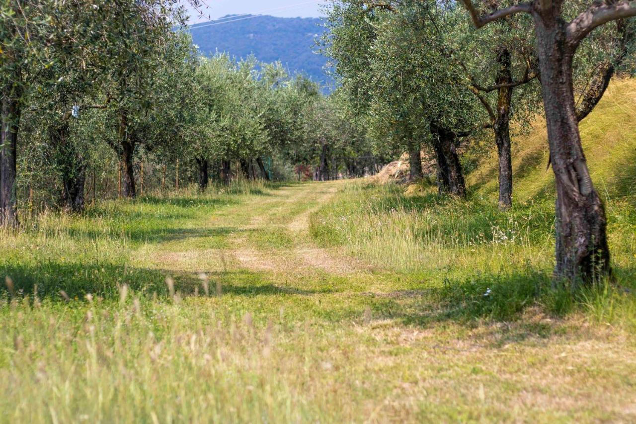 Casa Mandello Daire Salò Dış mekan fotoğraf